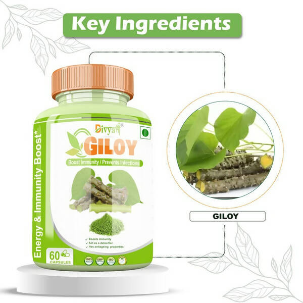 Divya Shree Giloy Capsules - Distacart