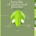 Thumbnail for Organic Ayurvedistan Guava Leaves Powder - Distacart
