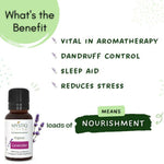 Thumbnail for Mystiq Living Originals Lavender Essential Oil - Distacart