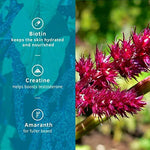 Thumbnail for Ustraa Beard Growth Supplement - Distacart