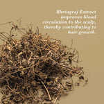 Thumbnail for True Frog Hair-Fall Control Bundle Conditioner 250 ml