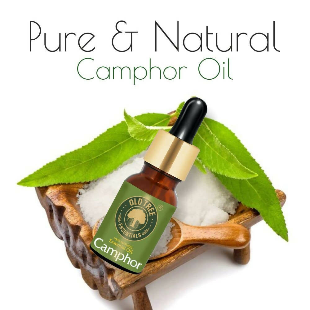 Old Tree Camphor Essential Oil - Distacart