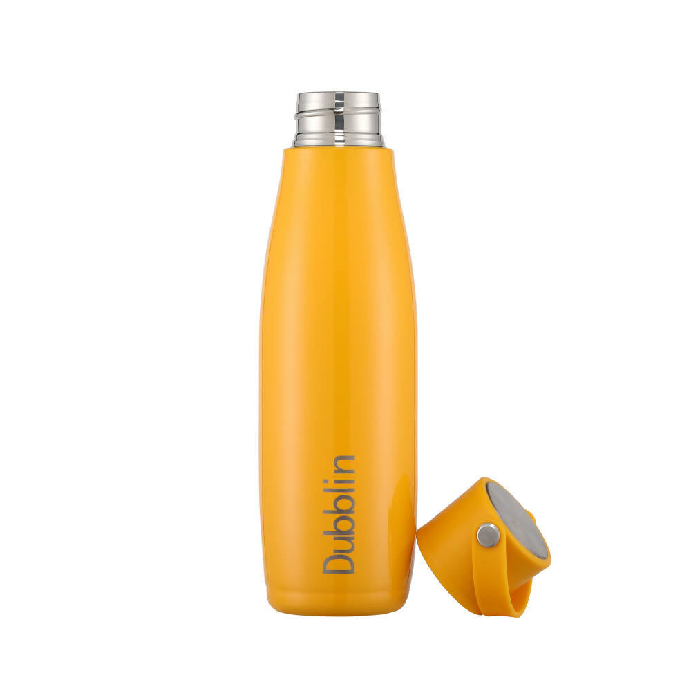 Dubblin Kiwi Vacuum Bottle - Distacart