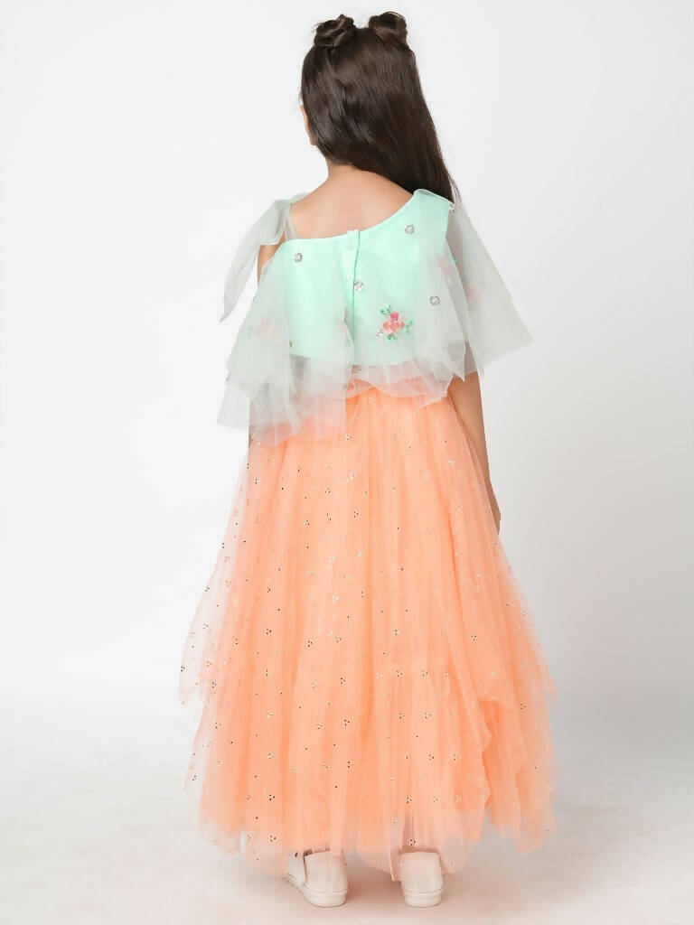 Lil Drama Girls Choli With Ghaghra Set - Peach - Distacart
