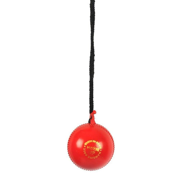 SG Iball Synthetic Hanging Ball - Red - Distacart