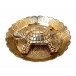 Thumbnail for Tortoise with Small Brass Plate - Distacart