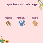 Thumbnail for Panchamrit Gut Health Effervescent Tablets-Zest Lemon Flavor - Distacart