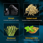 Thumbnail for Dr. Vaidya's Herbo 24 Turbo Capsules For Men - Distacart