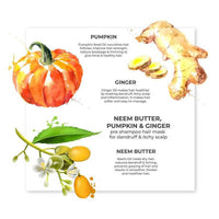 Thumbnail for Juicy Chemistry Neem Butter, Pumpkin & Ginger Hair Mask - Distacart