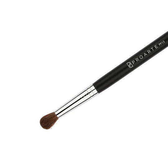Proarte All over Concealer Brush PF-13 - Distacart