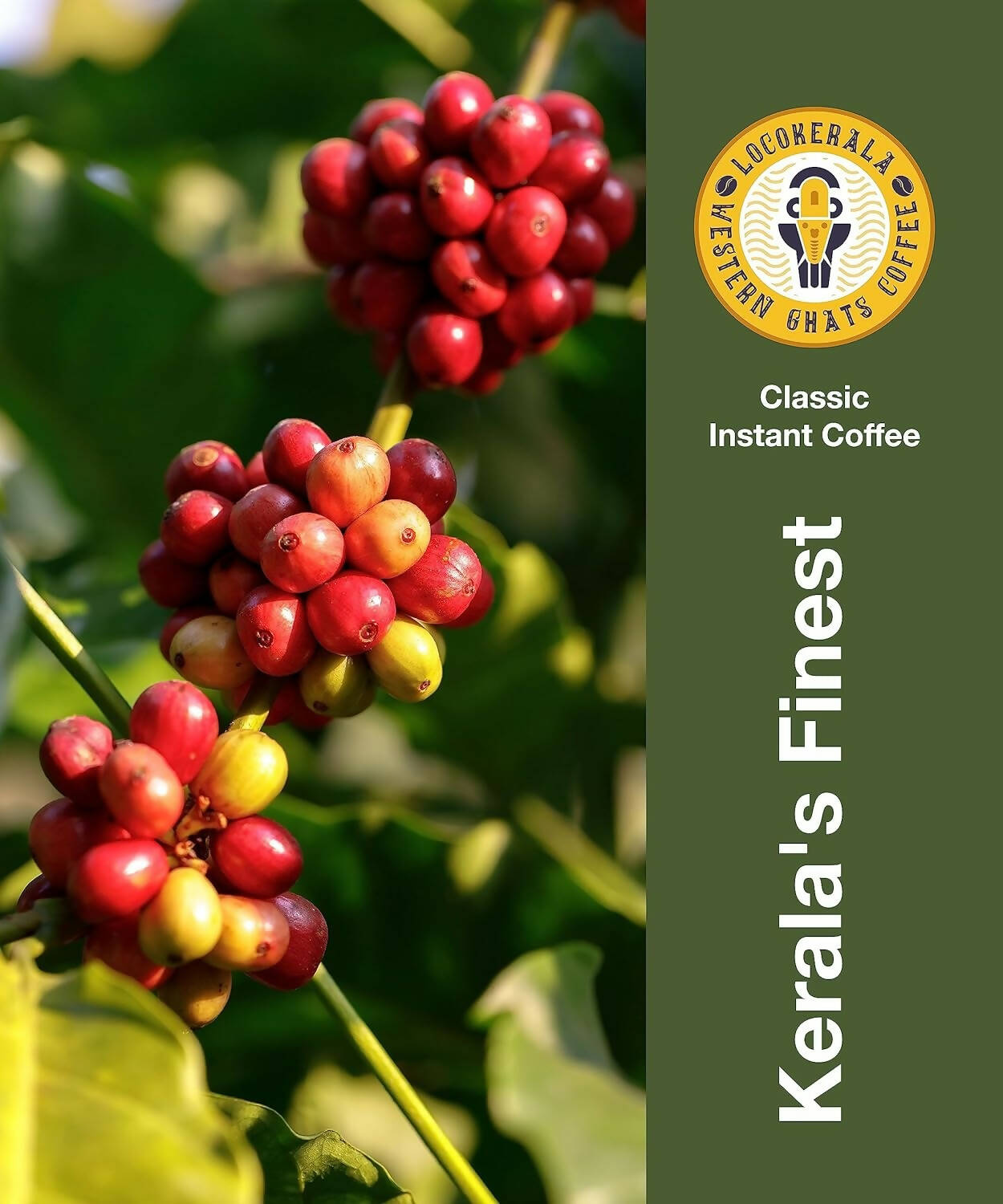 LocoKerala Western Ghats Classic Instant Coffee - Distacart