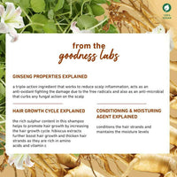Thumbnail for Plum Ginseng Gentle Rinse Shampoo - Distacart