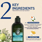 Thumbnail for L'Occitane Purifying Freshness Conditioner - Distacart