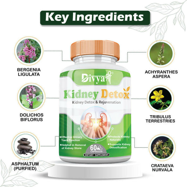Divya Shree Kidney Detox Capsules - Distacart