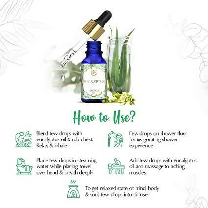 The Beauty Co. Eucalyptus Essential Oil - Distacart