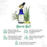 Thumbnail for The Beauty Co. Eucalyptus Essential Oil - Distacart