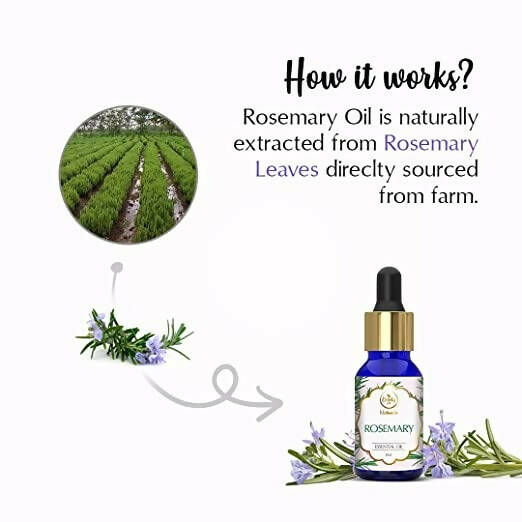 The Beauty Co. Rosemary Essential Oil - Distacart