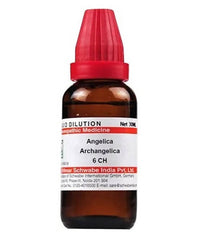 Thumbnail for Dr. Willmar Schwabe India Angelica Archangelica Dilution