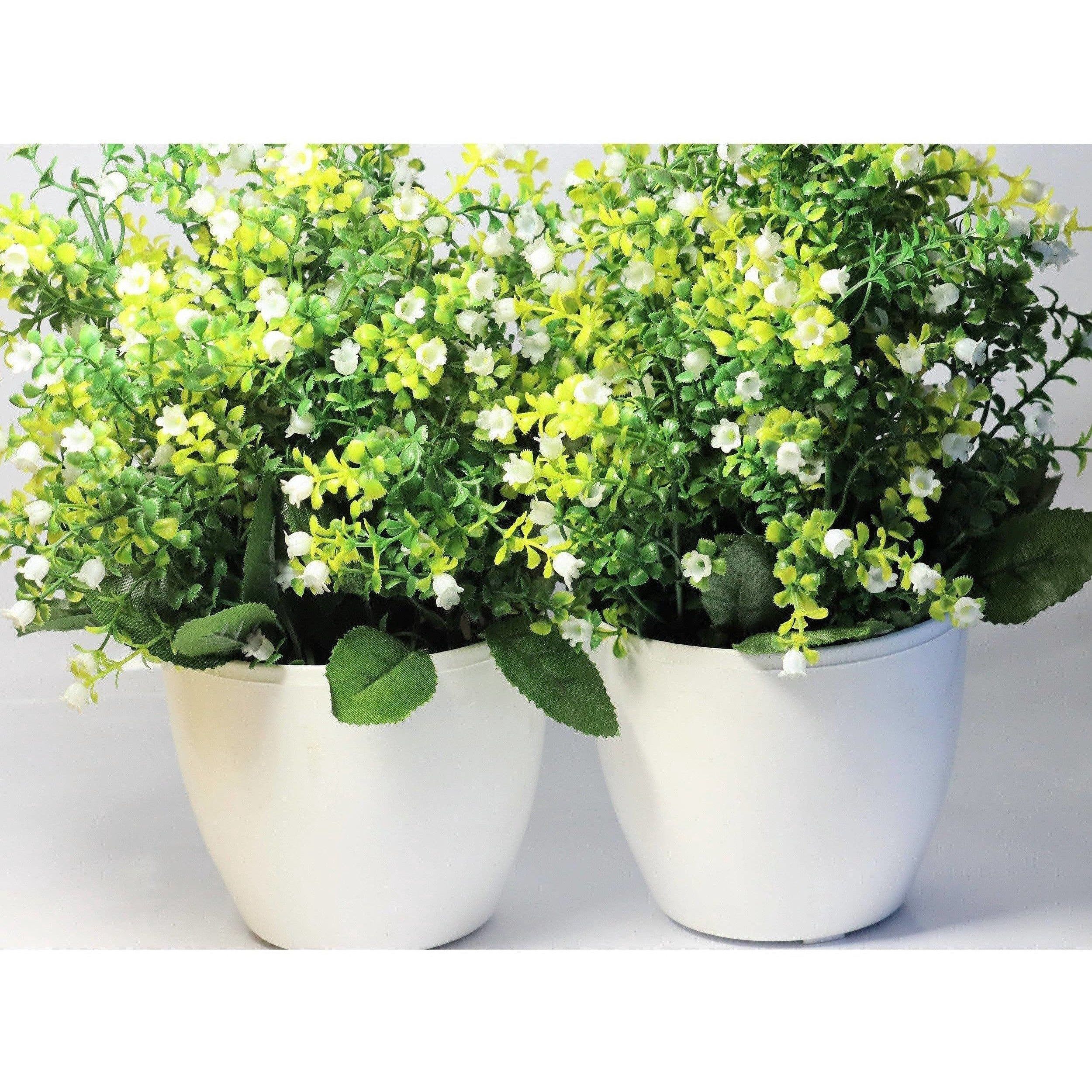 Chahat Decorative Artificial Flower Plant 2 Piece Combo