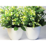Thumbnail for Chahat Decorative Artificial Flower Plant 2 Piece Combo