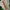 Lakshmi Krishna Naturals Neem Wood Comb - Distacart