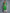Shehnaai Bright Green Colour Printed Kurta