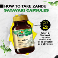 Thumbnail for Zandu Satavari Pure Herbs Capsules - Distacart