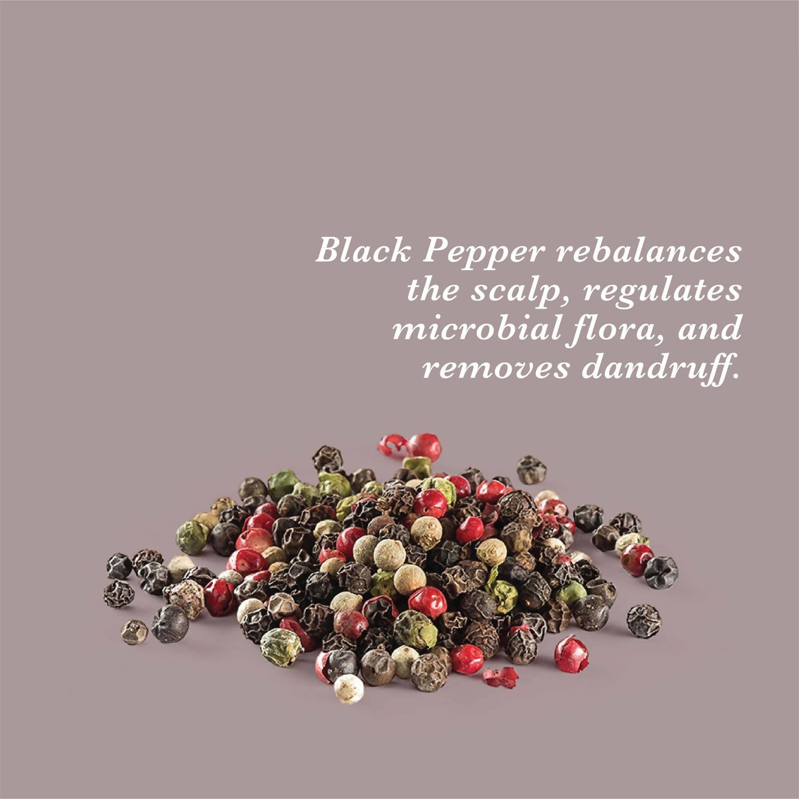 True Frog Anti Dandruff Shampoo - Distacart