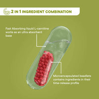 Thumbnail for Wellbeing Nutrition Slow | Burn Capsules - Distacart