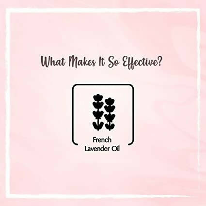 The Beauty Co. French Lavender Essential Oil - Distacart