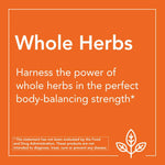 Thumbnail for Now Foods Dandelion Root 500mg Veg Capsules