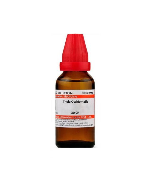 Dr. Willmar Schwabe India Thuja Occidentalis Dilution - Distacart