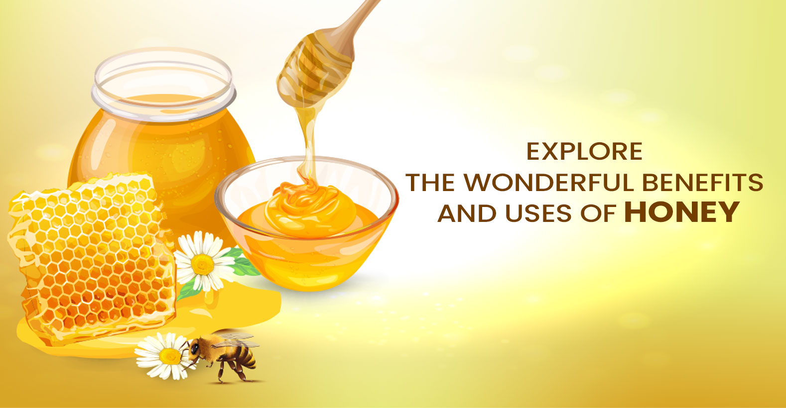 A Guide About Honey And Its Benefits