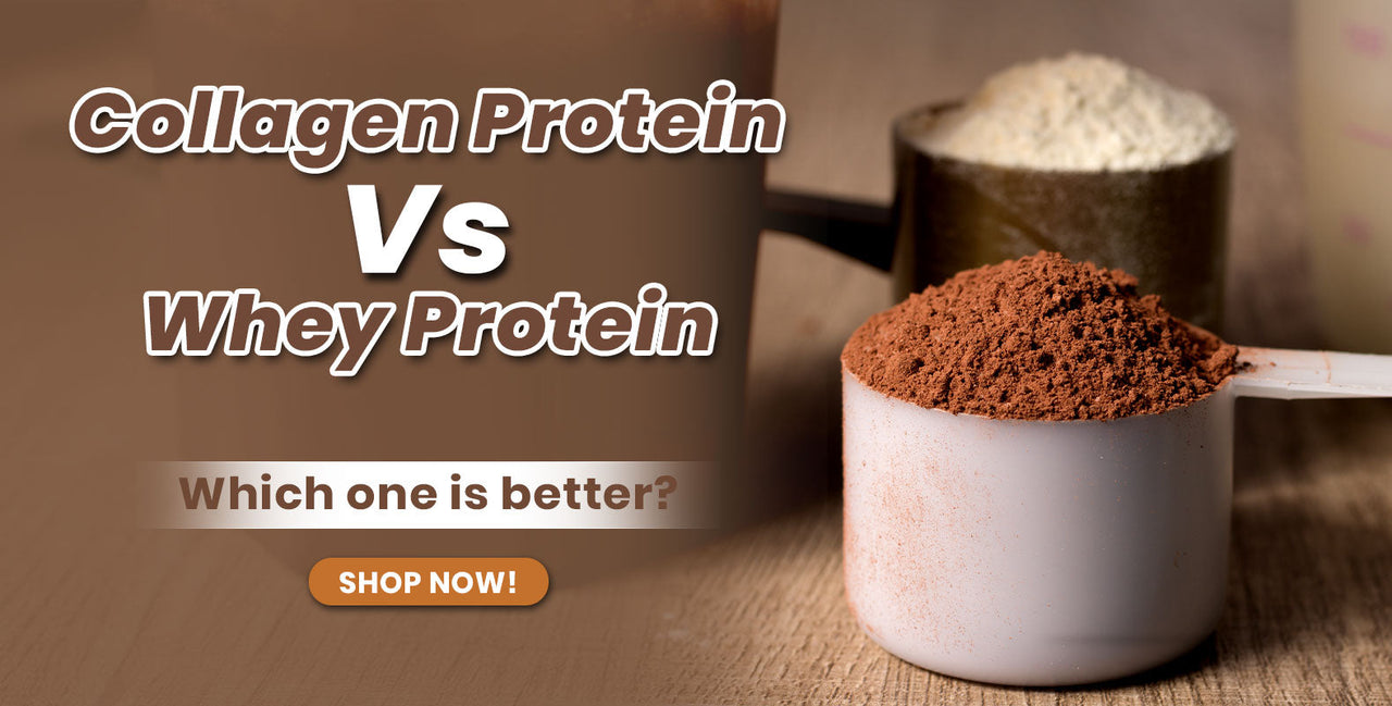 Collagen Protein Vs Whey Protein- Which one is better? – Distacart