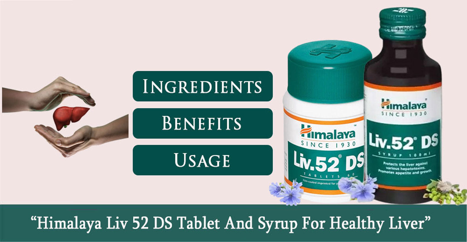 Himalaya Liv 52 DS Tablets & Syrup