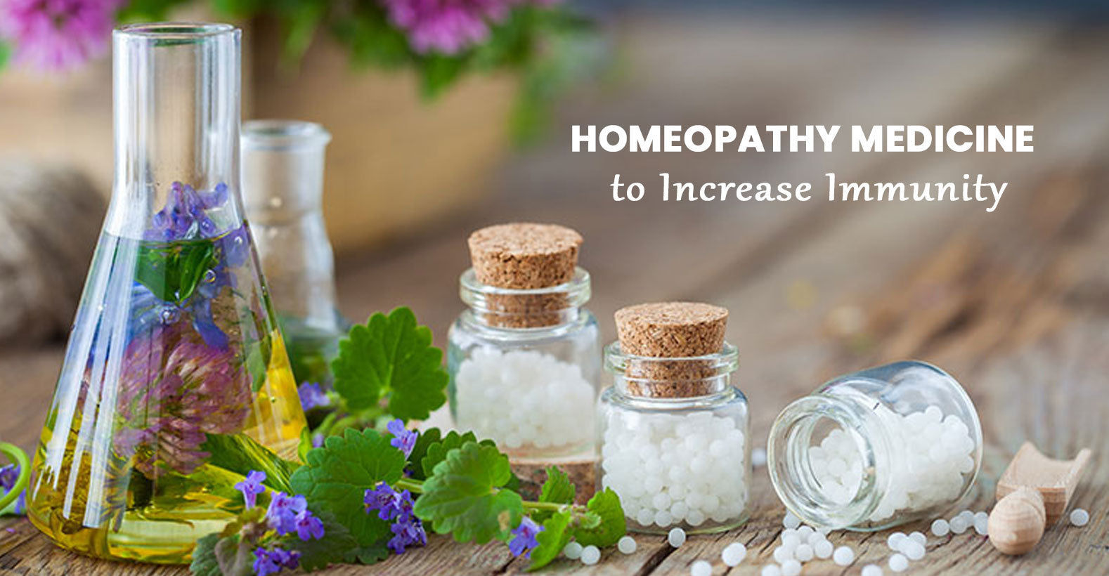 Homeopathic Medicines to Increase Immunity