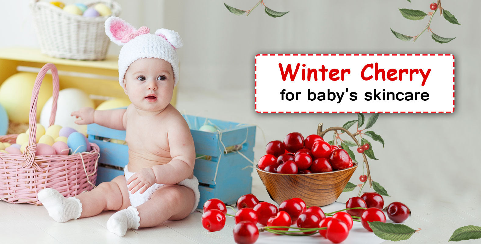 winter cherry for baby's skincare