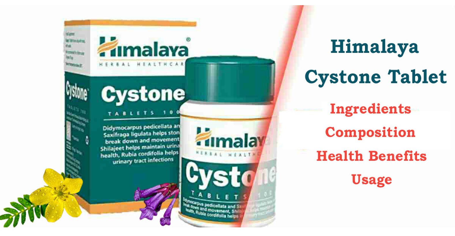 Himalaya Cystone Tablet - Ingredients, Composition, Health Benefits, Usage