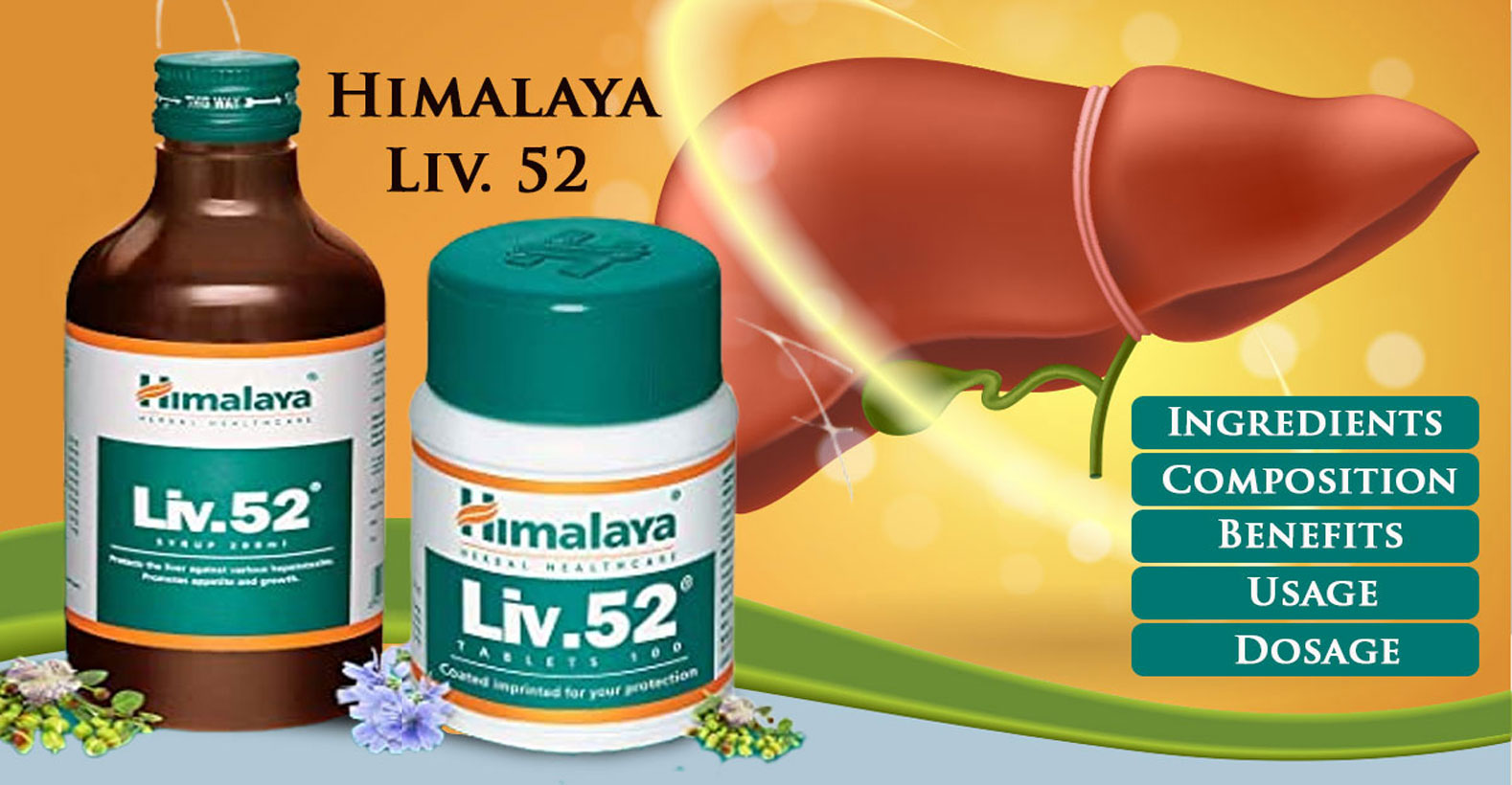 Himalaya Liv 52 Liver Care Tablets & Syrup - Health Benefits