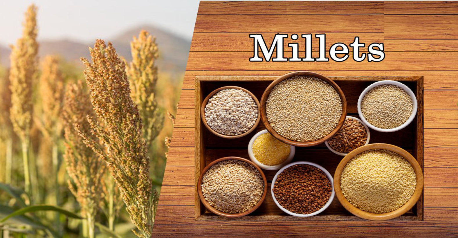 Millets & Types of Millets