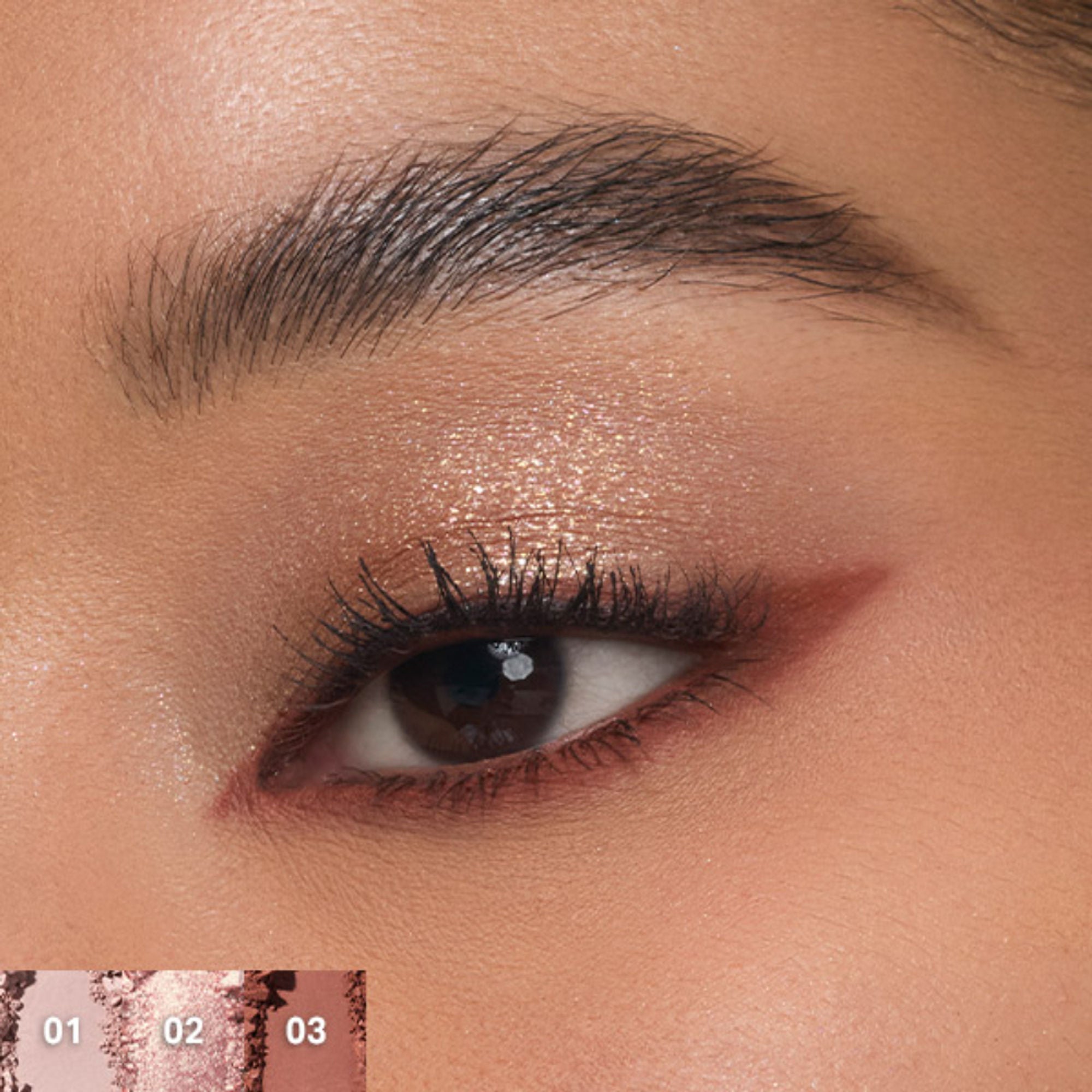 MORPHE Chromaplus 6-Pan Eyeshadow Palette - Outer Spice - Distacart
