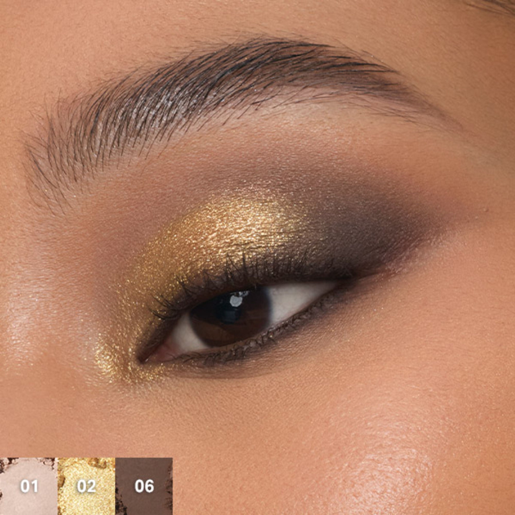 MORPHE Chromaplus 6-Pan Eyeshadow Palette - Python Code - Distacart