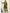 Yash Enterprise Alluring Fox Georgette Olive Embroidery Work Readymade Salwar Suit