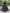 Dishitha Creation Printed Stitched Lehenga & Crop Top - Black & Black - Distacart