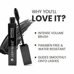 Thumbnail for VERYMISS Ultimate Makeup Combo - 3 + Free Makeup Pouch - Distacart