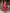 Soch Floral Printed Beads and Stones Kurta with Trousers & Dupatta - Distacart