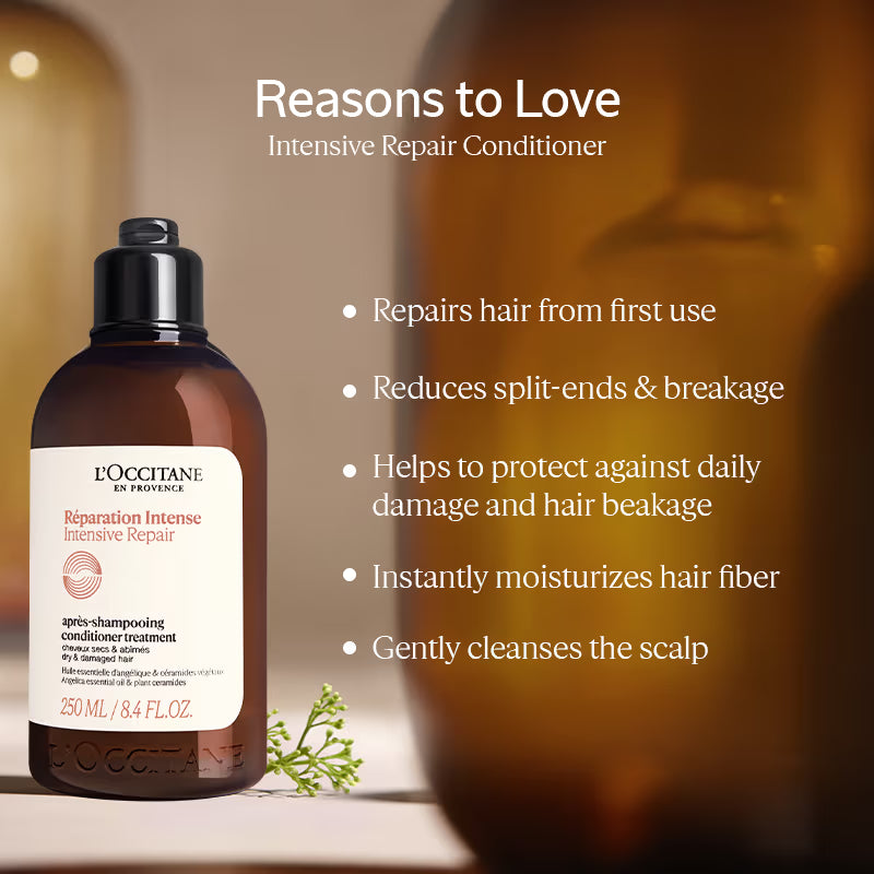 L'Occitane Intensive Repair Conditioner - Distacart