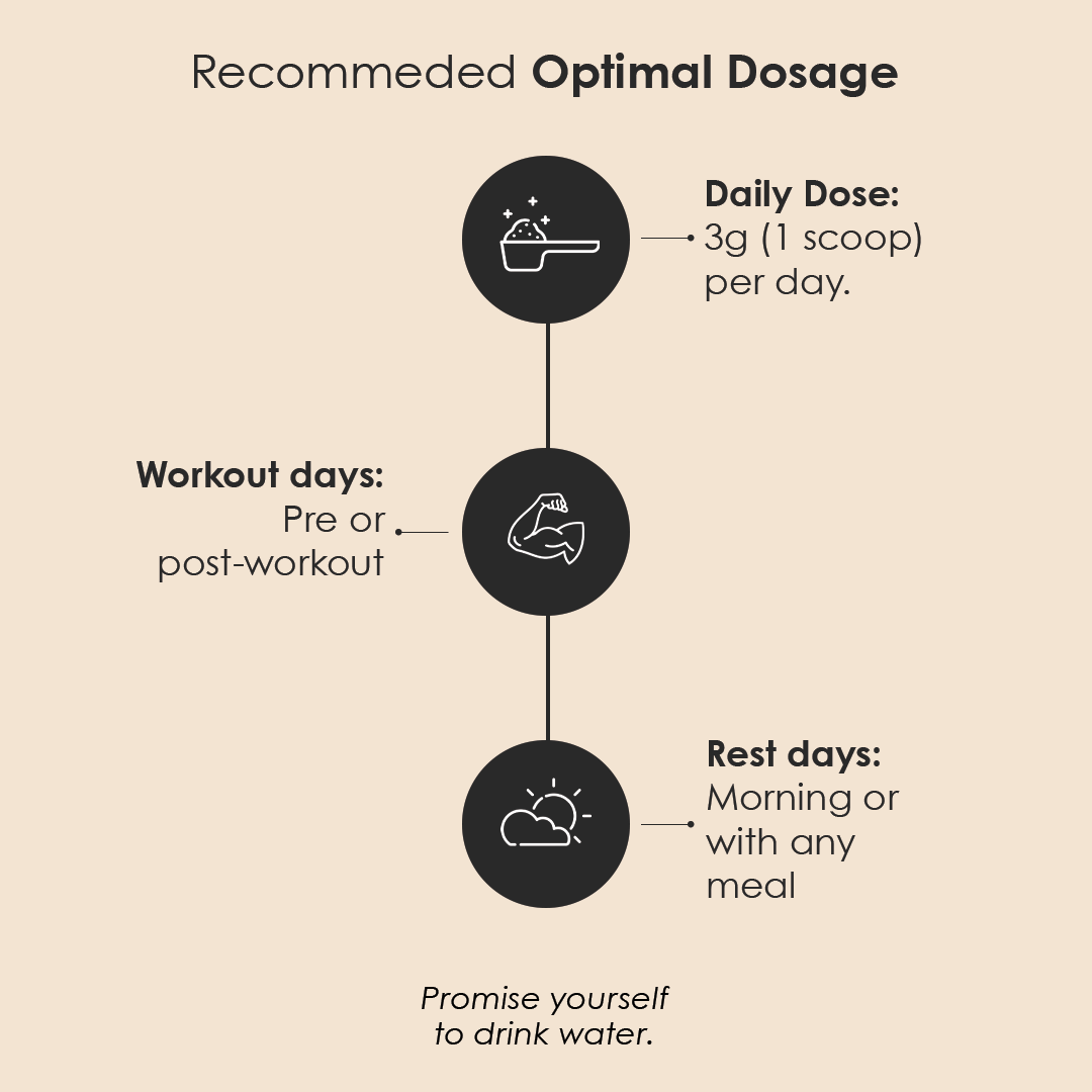 GATACA Creatine Monohydrate 200 Mesh, Ultra-Micronized for Maximum Absorption, Daily Strength, Focus & Recovery. Backed by Science, Designed for You