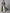 AURELIA Ethnic Motifs Print Maxi Ethnic Dress