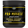 Sabates Powder Pro Muscle Mass Gainer